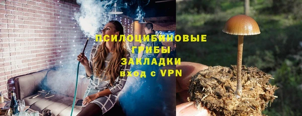 твердый Киреевск