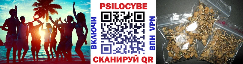 Галлюциногенные грибы мухоморы  hydra ONION  Константиновск  дарнет шоп 